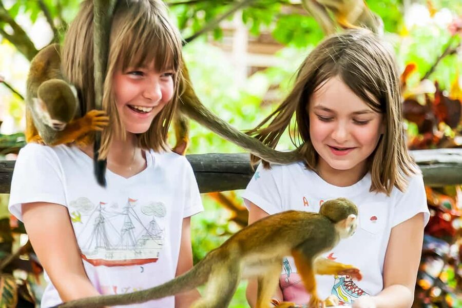 Punta Cana: Monkey Land Half-Day Safari and Plantation - What the 45-minute Monkeyland visit is really like