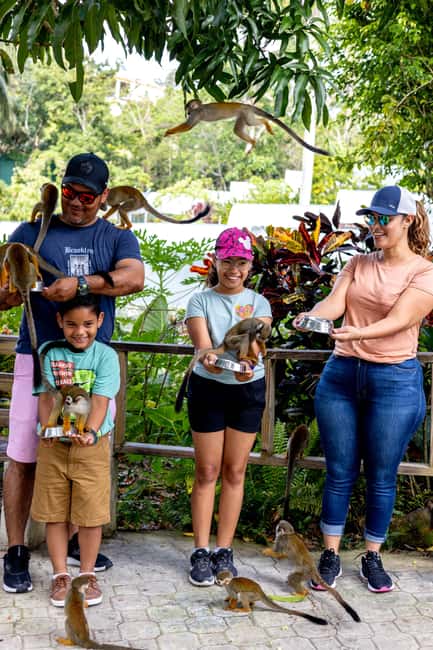 Punta Cana: Monkey Land Half-Day Safari and Plantation - Is $95 a fair price for five hours?