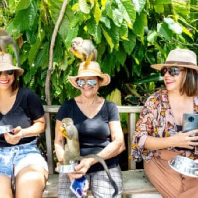 Punta Cana: Monkey Sanctuary Half-Day Tour - The monkeys are the reason to go