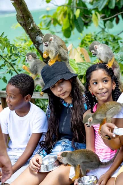 Punta Cana: Monkey Sanctuary Half-Day Tour - From Punta Cana to the Bonao area