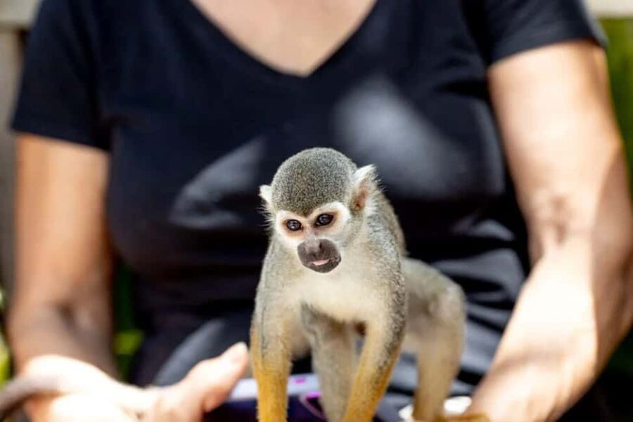 Punta Cana: Monkey Sanctuary Half-Day Tour - Mountain views around Bonao