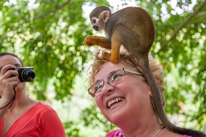 Punta Cana Monkeyland and Zipline Two Adventures in One Day - Two Punta Cana adventures in one long day