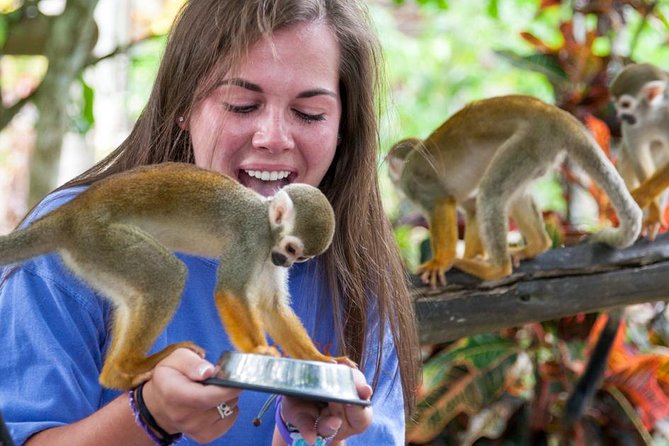 Punta Cana Monkeyland and Zipline Two Adventures in One Day - Coconut House, local foods, and lunch