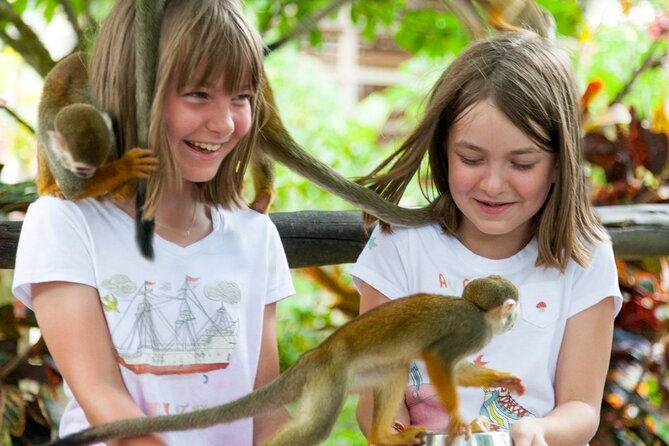 Punta Cana Monkeyland and Zipline Two Adventures in One Day - Twelve ziplines through the Dominican forest