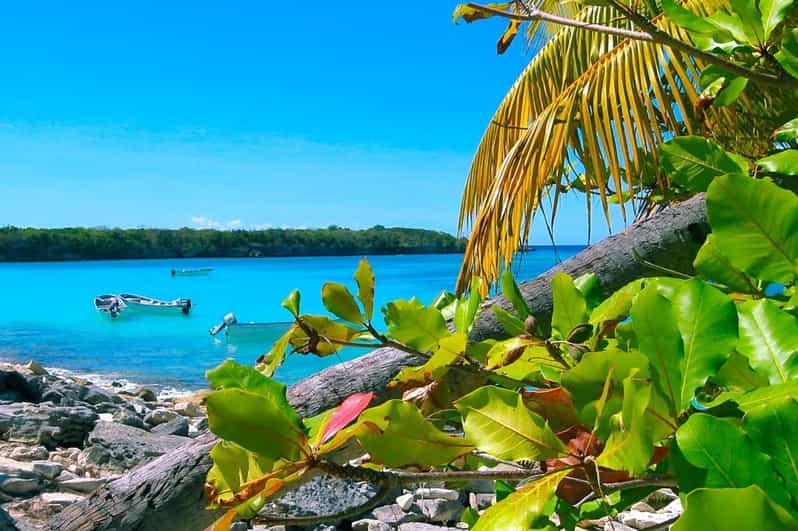 Punta Cana or La Romana: Catalina Island Tour and Snorkeling - Guides, Communication, and the Human Side of the Day