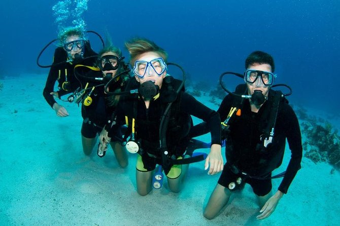 Punta Cana: PADI Open Water Scuba Certification (2–3 Days) - Learning to scuba in Punta Cana
