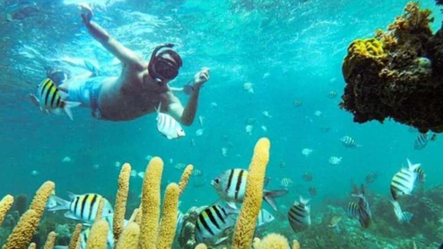Punta Cana: Party Boat and Snorkeling Adventure - Boarding the Catamaran Near Bávaro Beach