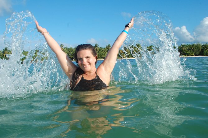 Punta Cana Party Boat:open bar - Dolphin and shark viewing from the boat