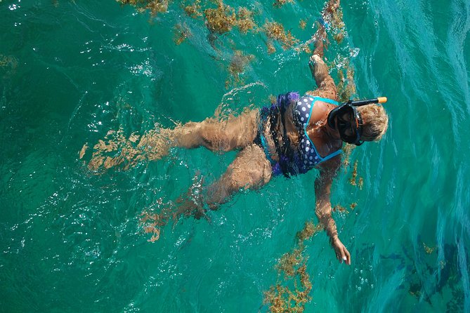 Punta Cana Party Boat:open bar - Is $60 a good value?