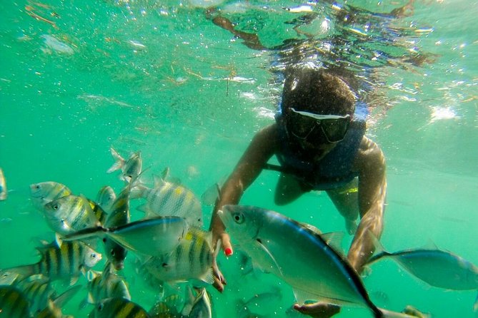 Punta Cana Party Boat Snorkeling with Music DJ and Open Bar - Boarding the Blue Marine boat