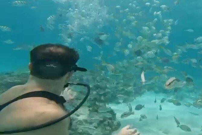 Punta Cana Party Cruise with Snorkeling, Hooka Diving and Parasailing - Three Water Activities Before the Party