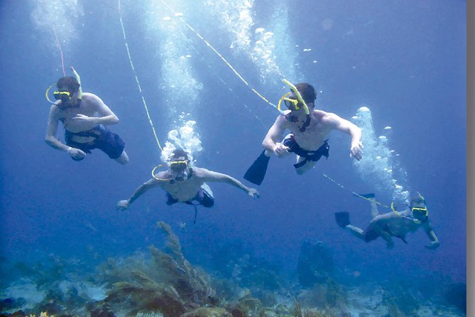 Punta Cana Party Cruise with Snorkeling, Hooka Diving and Parasailing - How Much Value You Get for $140
