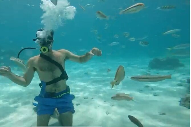 Punta Cana Party Cruise with Snorkeling, Hooka Diving and Parasailing - Snorkeling Over Punta Cana’s Reefs