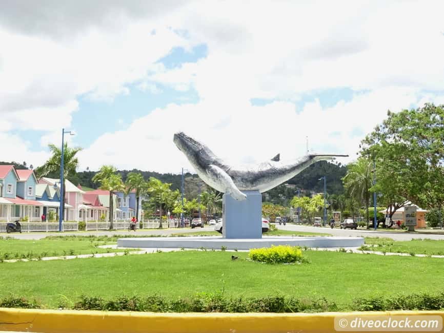 Punta Cana: Playa Rincon, Samana, & Cayo Levantado Day Trip - Playa Rincon: the day’s strongest stop