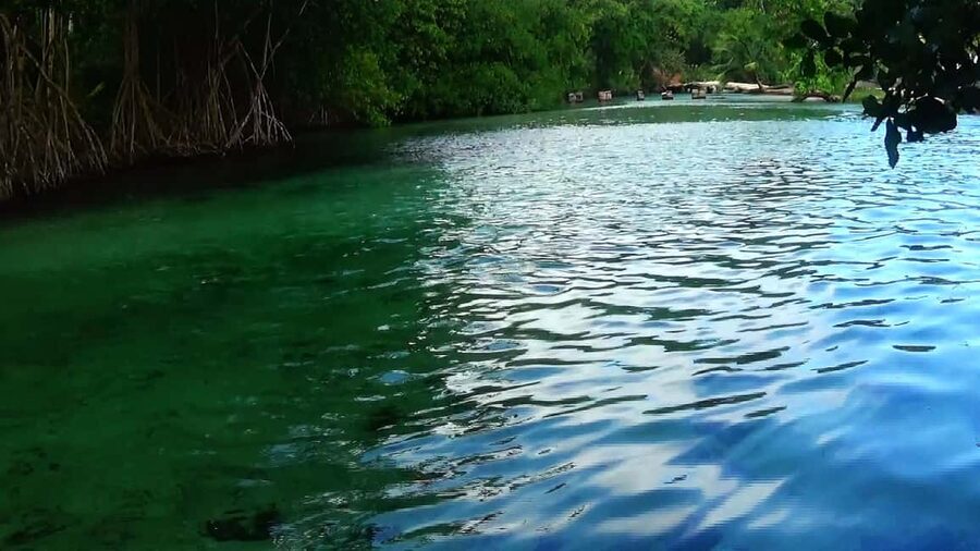 Punta Cana: Playa Rincon, Samana, & Cayo Levantado Day Trip - A short paddle through Caño Frio