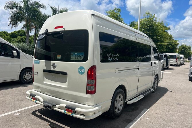 Punta Cana: Private Airport Transfers One Way To From Uvero Alto - Who will get the most from this service