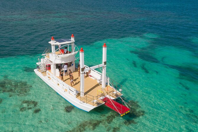 Punta Cana Private Boat (BBQ included) - The food: a real barbecue, not just snacks