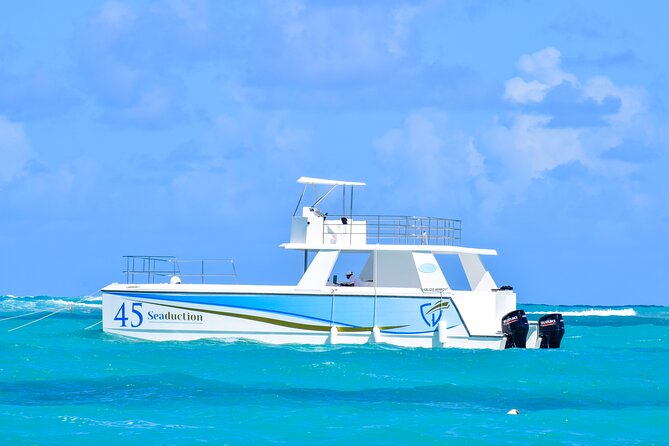 Punta Cana Private Boat Tour with Open Bar and BBQ - Snorkeling Near Punta Cana’s Coral Reefs