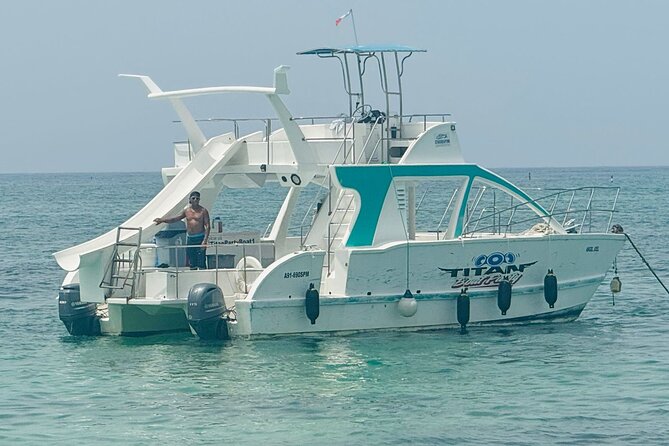 Punta Cana Private Boat Tour with Transportation Included - First stop: dolphins in their natural setting