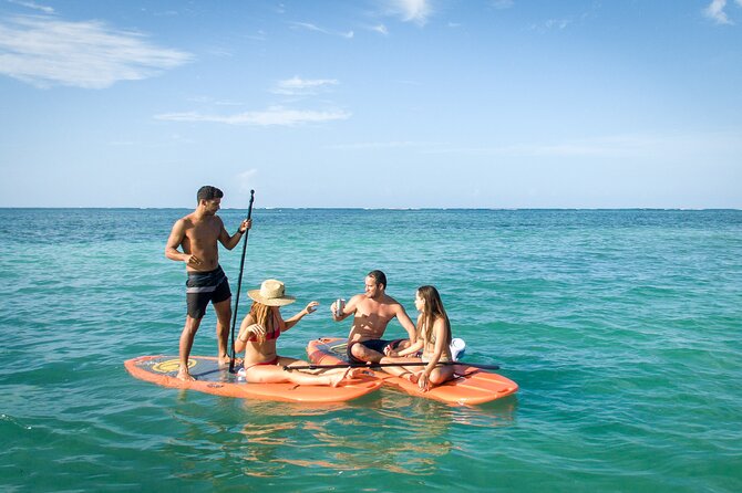 Punta Cana Private Catamaran Cruise with Drinks and Light Snacks - Punta de los Nidos: slide, splash, and jump