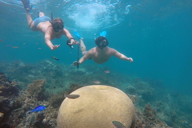 Punta Cana Private Cruise Up To 10 Snorkeling & Seafood lunch - Key points to know before you book