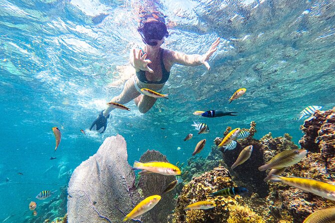 Punta Cana Private Cruise Up To 10 Snorkeling & Seafood lunch - A private Punta Cana boat day, not a standard party cruise