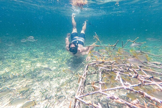 Punta Cana Private Cruise Up To 10 Snorkeling & Seafood lunch - The floating kitchen and seafood lunch