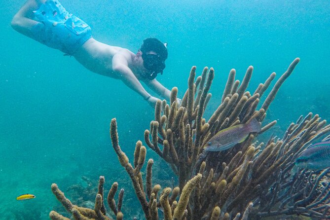 Punta Cana Private Cruise Up To 10 Snorkeling & Seafood lunch - What the crew adds to the experience
