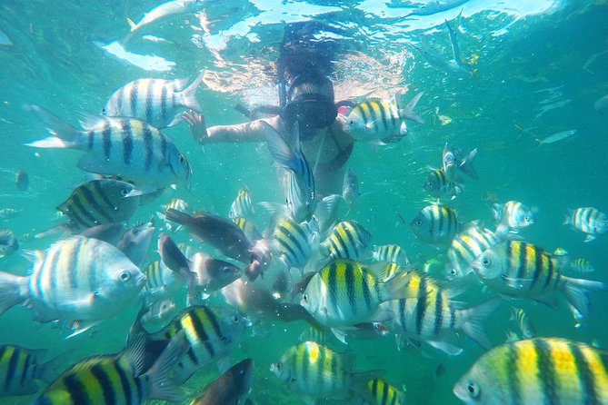 Punta Cana Private Cruise Up To 10 Snorkeling & Seafood lunch - From resort pickup to Cape Engano