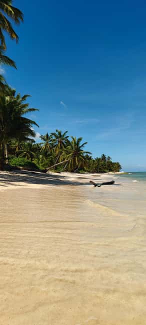 Punta Cana : Private yacht Snorkeling, Lagoon and Wild Beach - Reef snorkeling is the strongest part