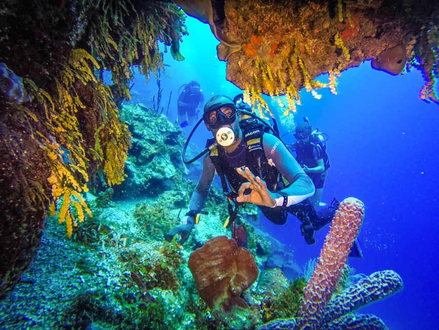 Punta Cana: Reef Diving Adventure Explore Underwater Wonders - Key points to know before booking