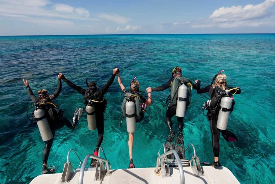 Punta Cana: Reef Diving Adventure Explore Underwater Wonders - What you see beneath Punta Cana’s coast