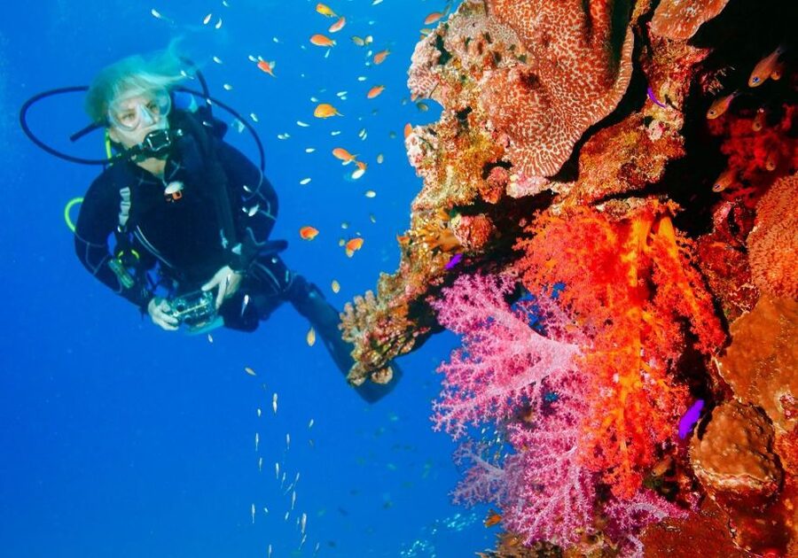 Punta Cana: Reef Diving Adventure Explore Underwater Wonders - Should you book this Punta Cana reef experience?