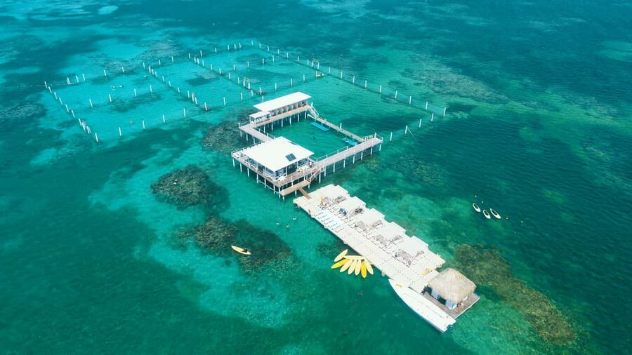 Punta Cana: Reef Explorer Access w/ Sharks & Stingrays Swim - Arrival, briefing, and getting oriented