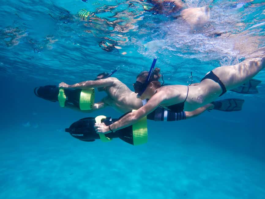 Punta Cana: Reef Explorer Access w/ Sharks & Stingrays Swim - Snorkeling the reef and looking for marine life