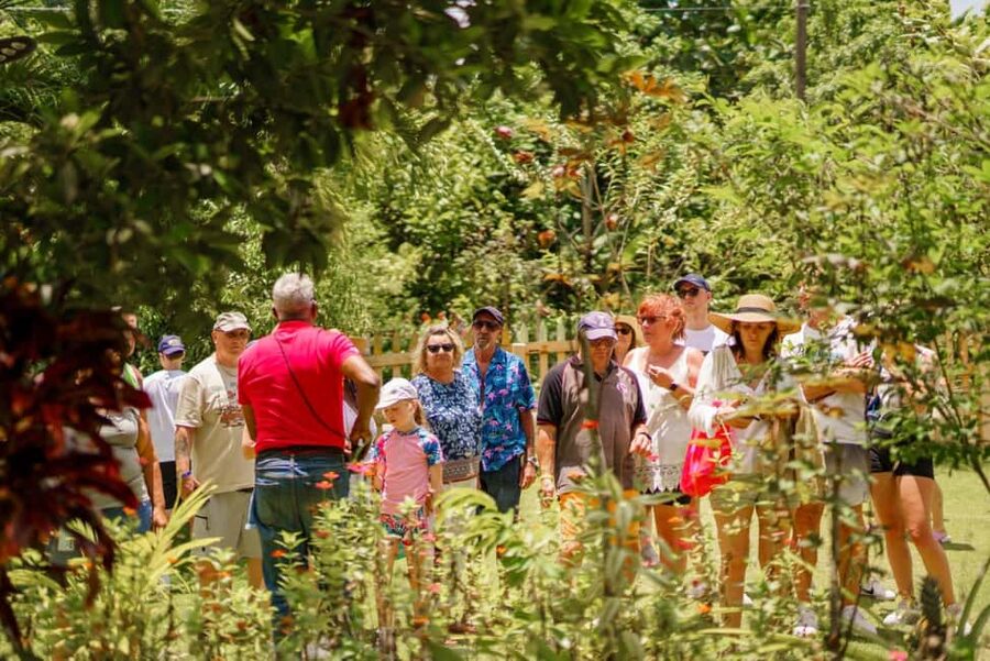 Punta Cana safari experience and historical city tour - Rural roads, rivers, and photo stops