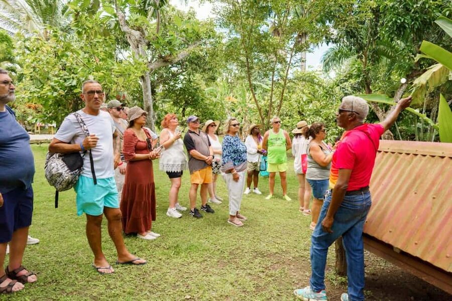 Punta Cana safari experience and historical city tour - What $52 includes, and where the value sits