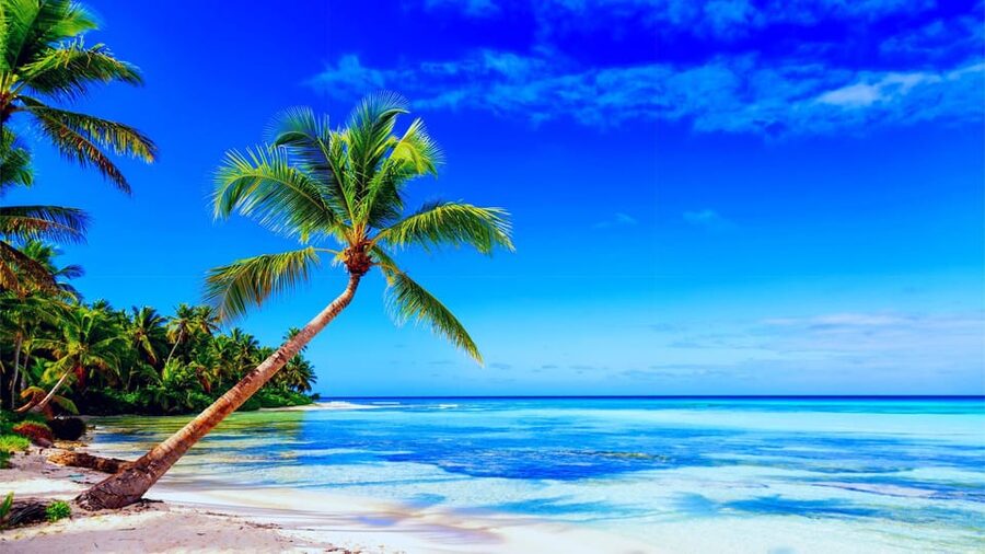 Punta Cana: Samaná Day Tour with Horse Ride and Cruise - El Limón waterfall and the swimming stop