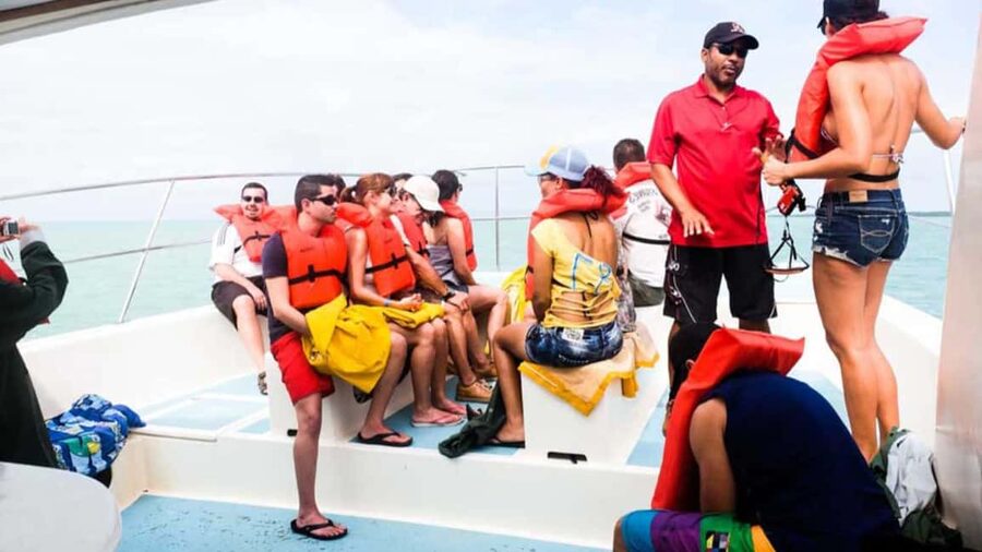 Punta Cana: Samana Full Day Trip Whale Cascada El Limon - Key points at a glance