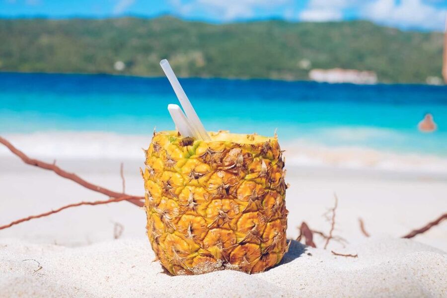 Punta Cana: Samana Full Day Trip Whale Cascada El Limon - Cayo Levantado, the short island pause