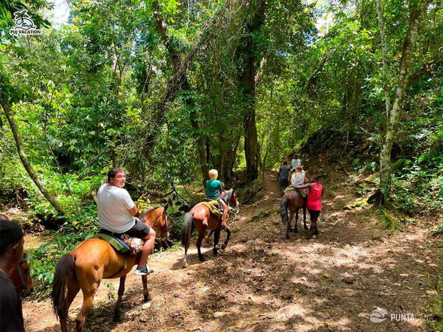 Punta Cana: Samana safari between waterfalls and beaches - Why Samaná is worth the long trip from Punta Cana