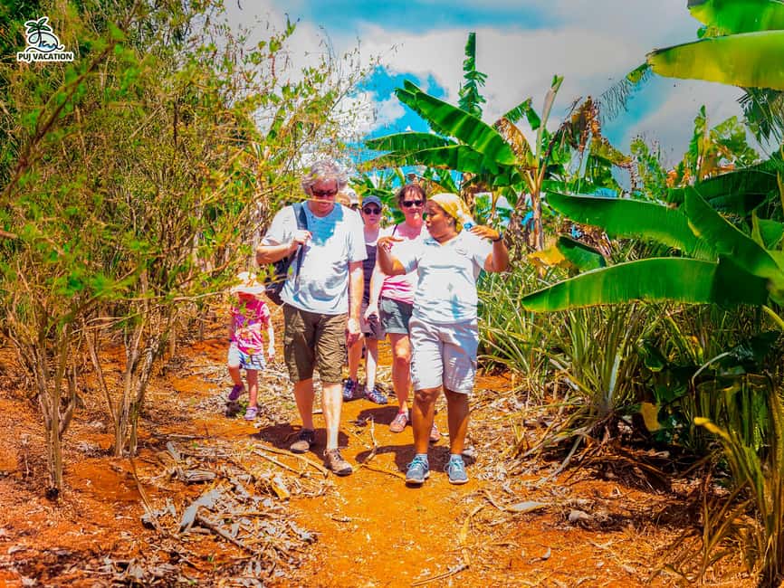 Punta Cana: Samana safari between waterfalls and beaches - El Limón Waterfall is the natural centerpiece