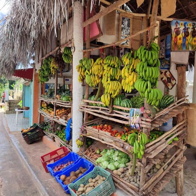 Punta Cana: Samana safari between waterfalls and beaches - The Cañita crossing sets the pace