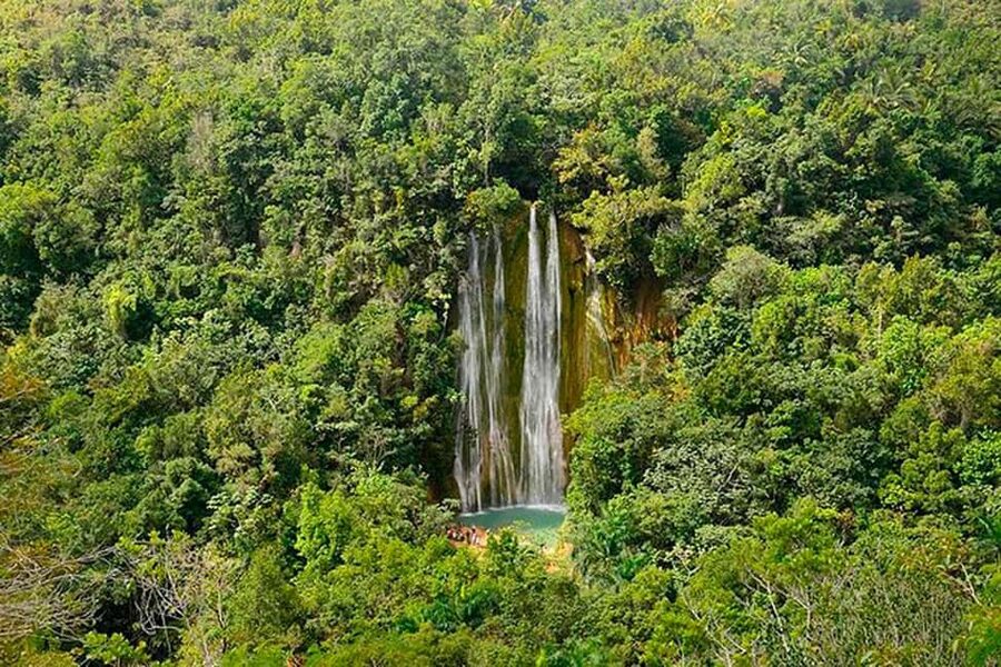Punta Cana: Samaná Whale Watching, Bacardi & Limon Falls - Whale watching from La Cañita