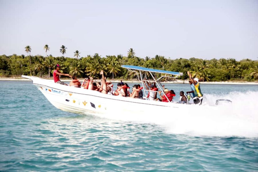 Punta Cana: Saona Island and Altos de Chavón Day Trip - Catamaran energy, music, and open-bar drinks