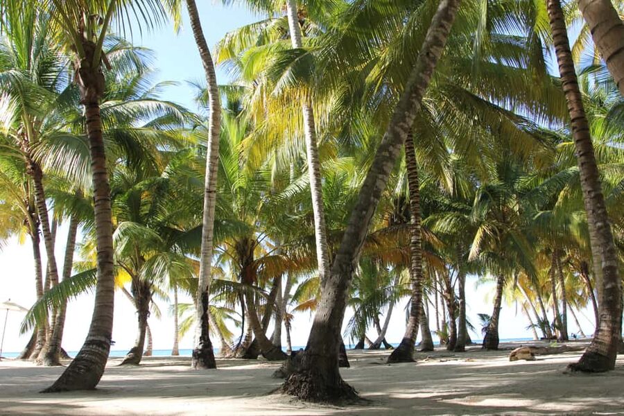 Punta Cana: Saona Island and Altos de Chavón Day Trip - Why the $92 price makes sense