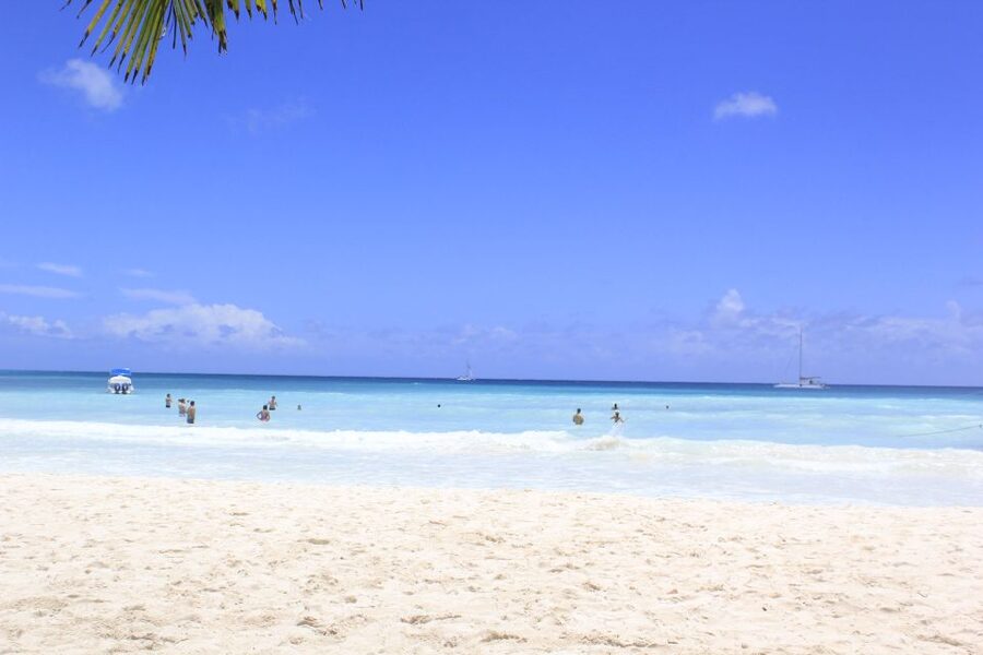 Punta Cana: Saona Island and Altos de Chavón Day Trip - Who will enjoy this day most