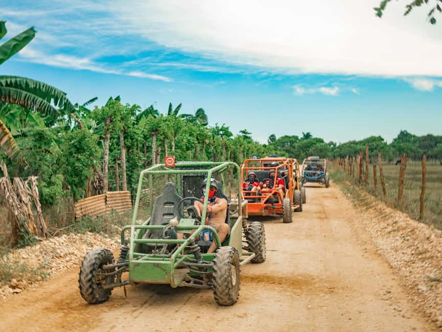 Punta Cana: Saona Island and Buggy Combo - Buffet lunch, Dominican food, and the open bar