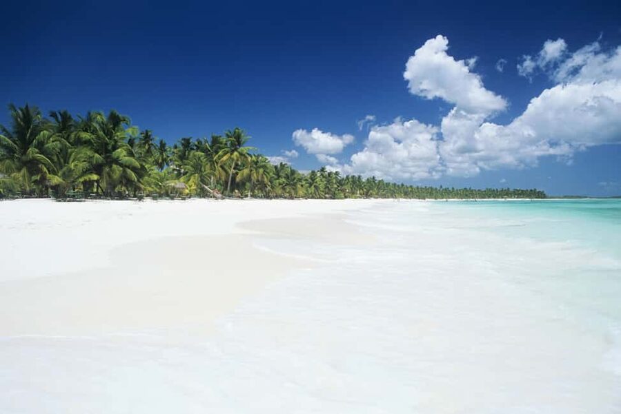 Punta Cana: Saona Island Catamaran Adventure with Lunch - Key points to know before booking