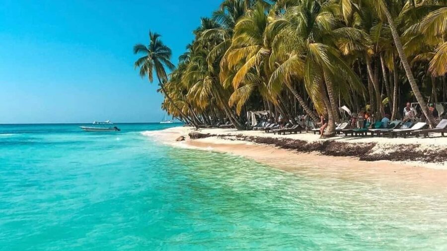 Punta Cana: Saona Island Catamaran Food Drink With Transport - Who will enjoy this Saona day most